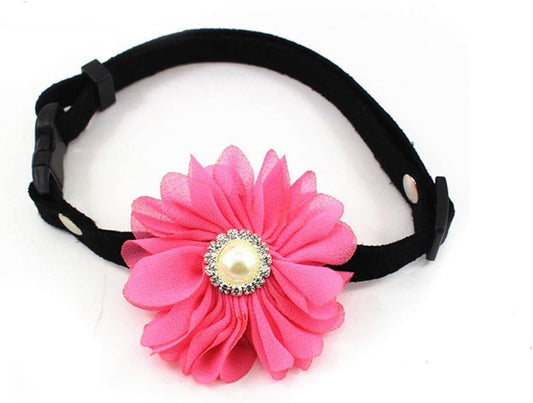 Designer Rhinestones Daisy Flower Charm Suede Leather Pet Cat Dog Bow Tie Collar Necklace with Pearl for Pets Cats Medium or Large Dogs Female Puppy Yorkie Girl (Hot Pink, Size M)